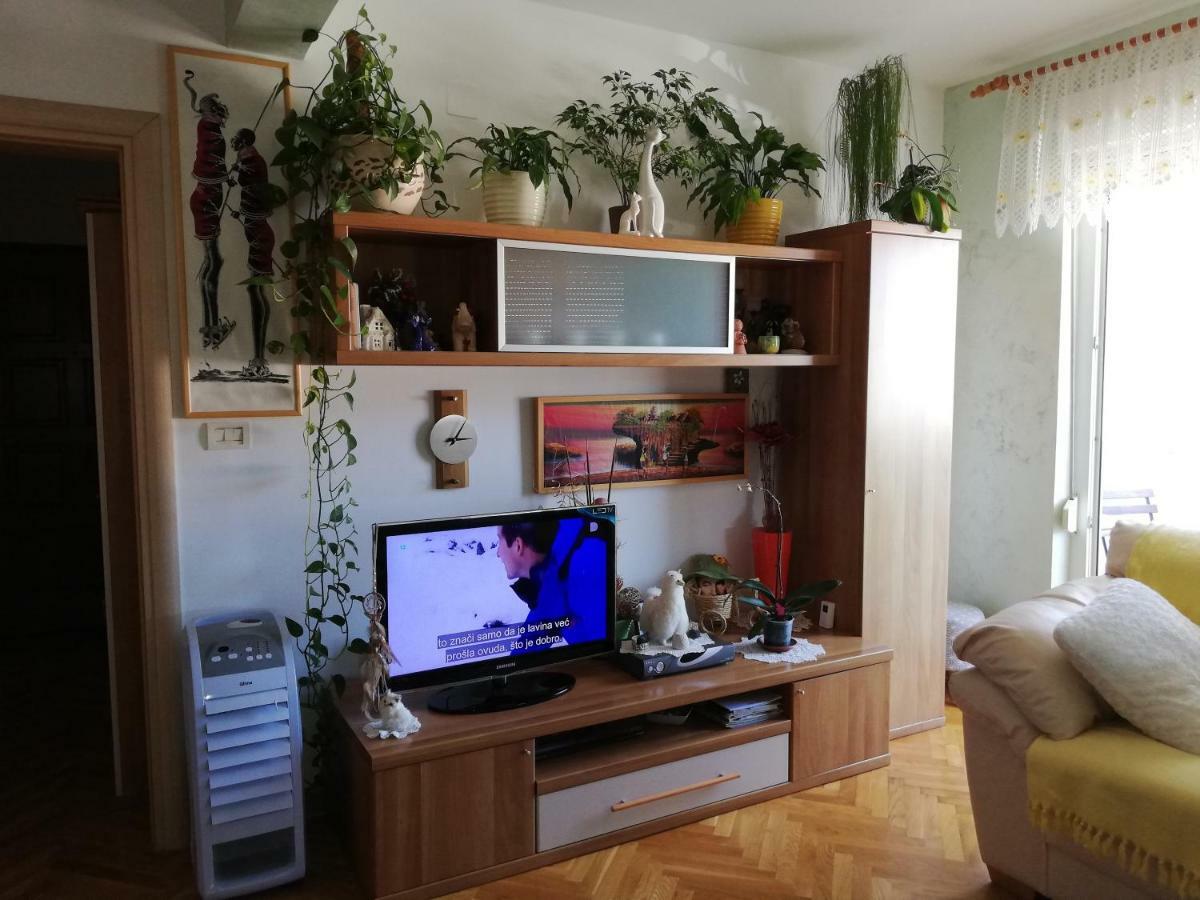 Cuore Di Umago Zewnętrze zdjęcie